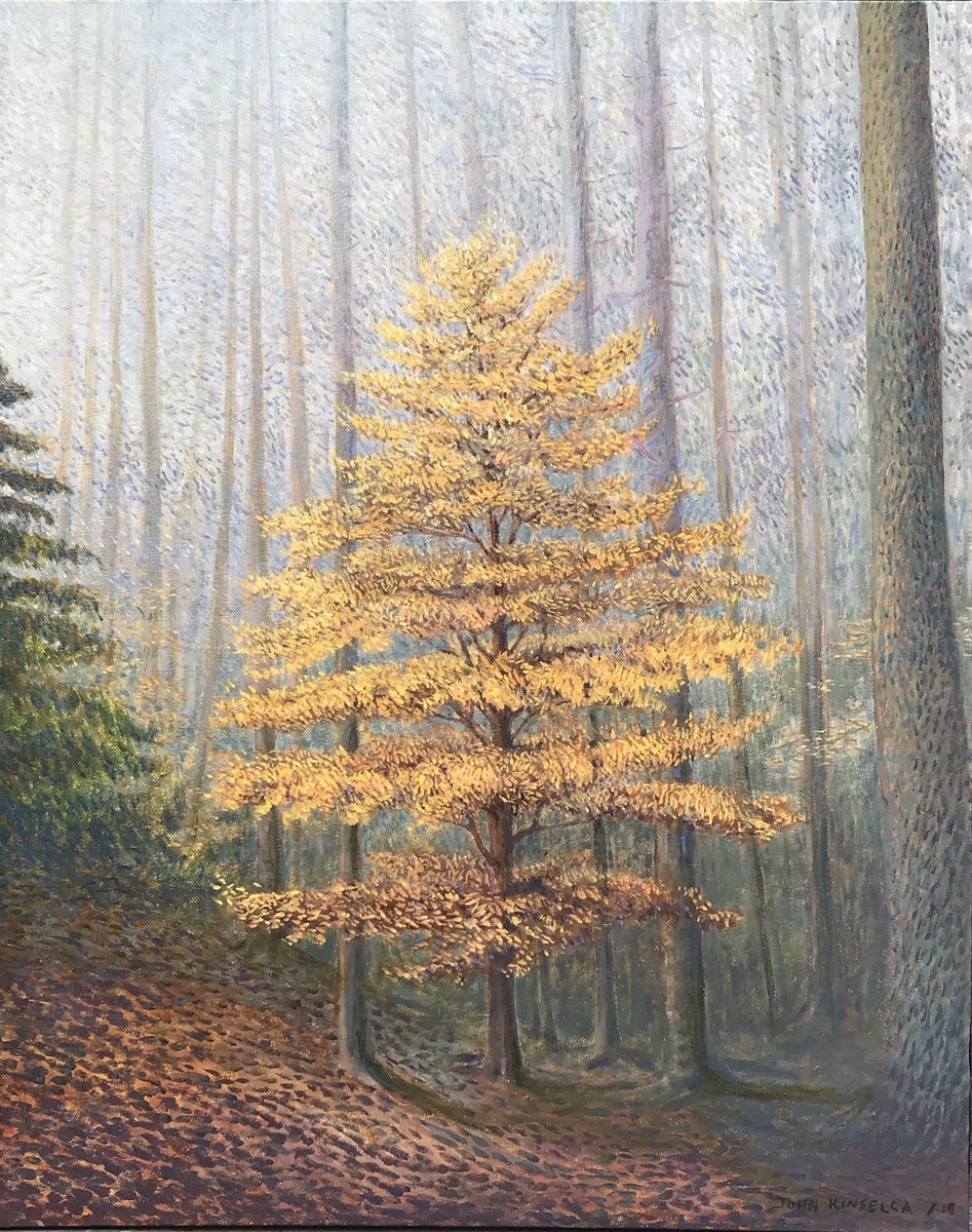 John Kinsella tweet media