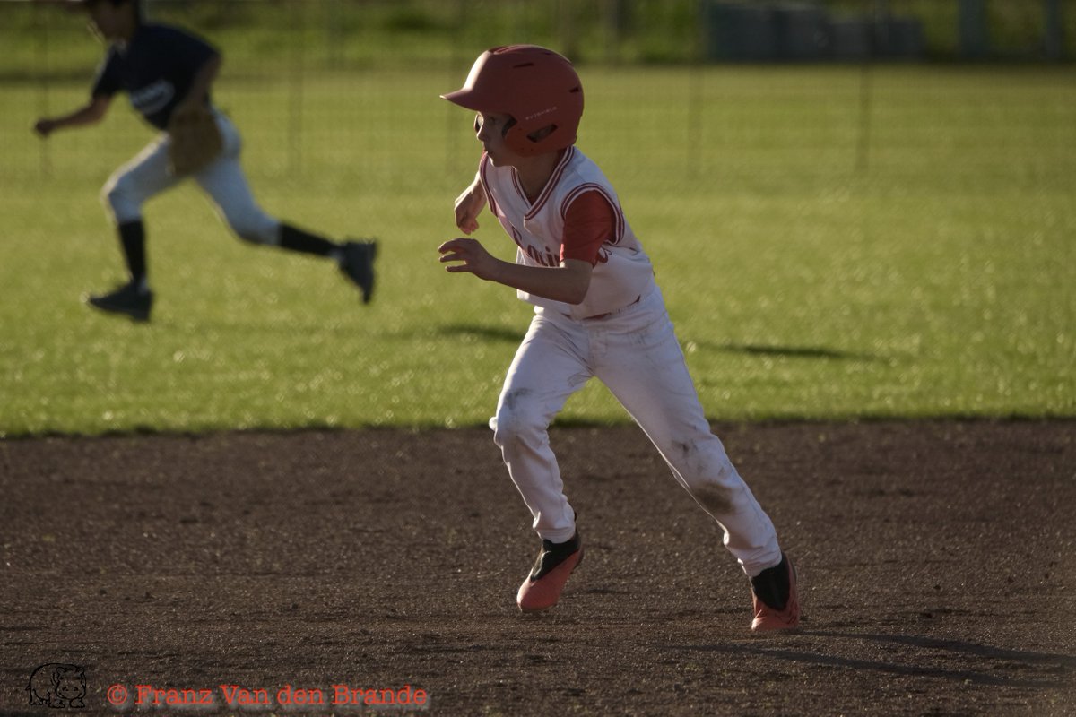 BaseSoftballVla's tweet photo. The Borgerhout Squirrels take home the title at the U12 Youth Baseball Championship! What a performance!

📷Franz Van Den Brande https://t.co/wLScxJq4jt