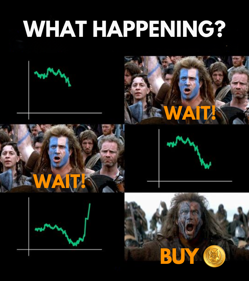 Fuzuki_Inu's tweet photo. Sometimes, you wait… and then you BUY BIG! 🤑 The journey to success in #crypto is about patience and precision.

visit us at https://t.co/5cFjZKGphv &amp; join us at https://t.co/9nVr8gJGXM

#Fuzukicommunity #CryptoRewards #BlockchainTechnology #TokenEconomy #DeFi #DigitalAssets https://t.co/8GpwZDjpnD