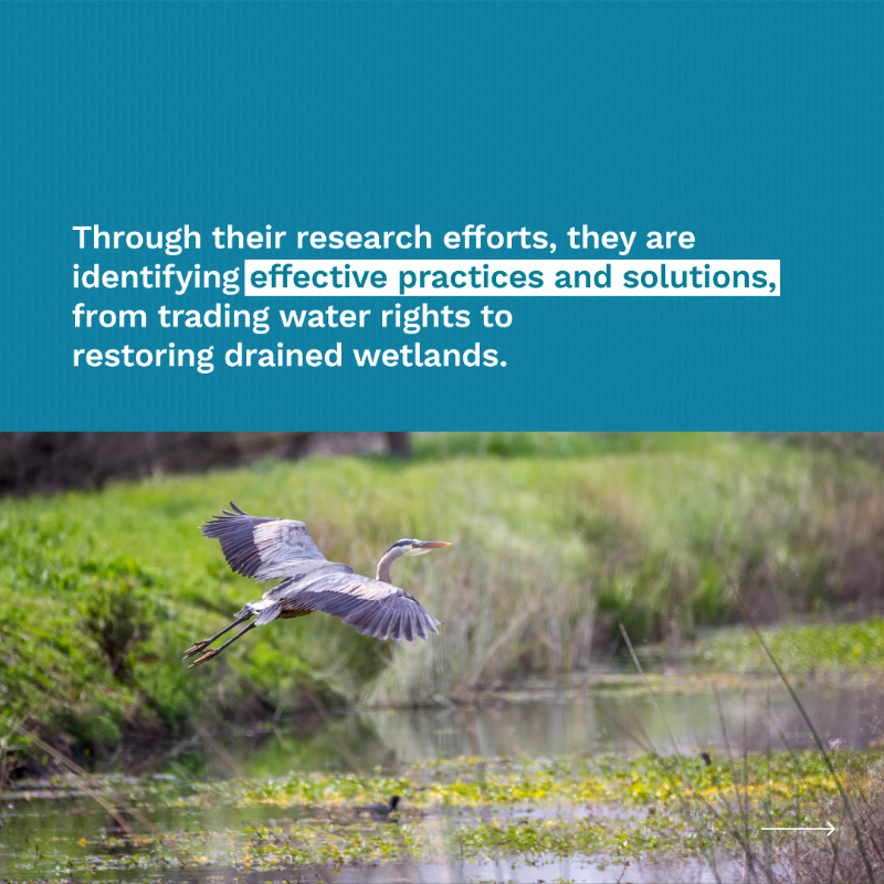 HorizonMagEU's tweet photo. Going with the flow: #water becomes economic and biodiversity driver in Europe.

 Here’s the full story ➡️ https://t.co/piWmGufhvw

 #ResearchImpactEU