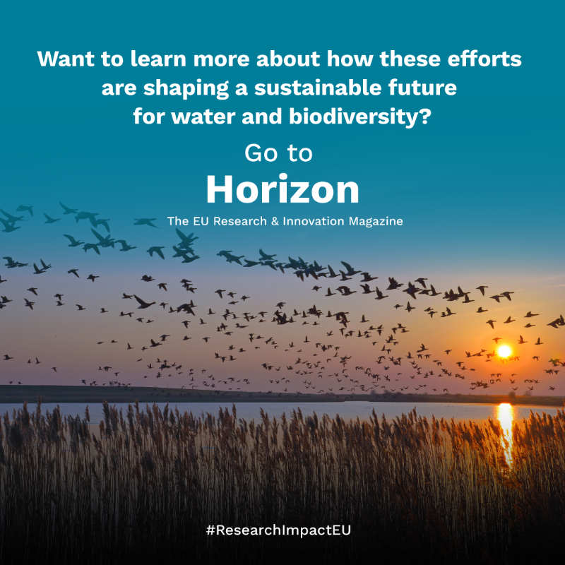 HorizonMagEU's tweet photo. Going with the flow: #water becomes economic and biodiversity driver in Europe.

 Here’s the full story ➡️ https://t.co/piWmGufhvw

 #ResearchImpactEU