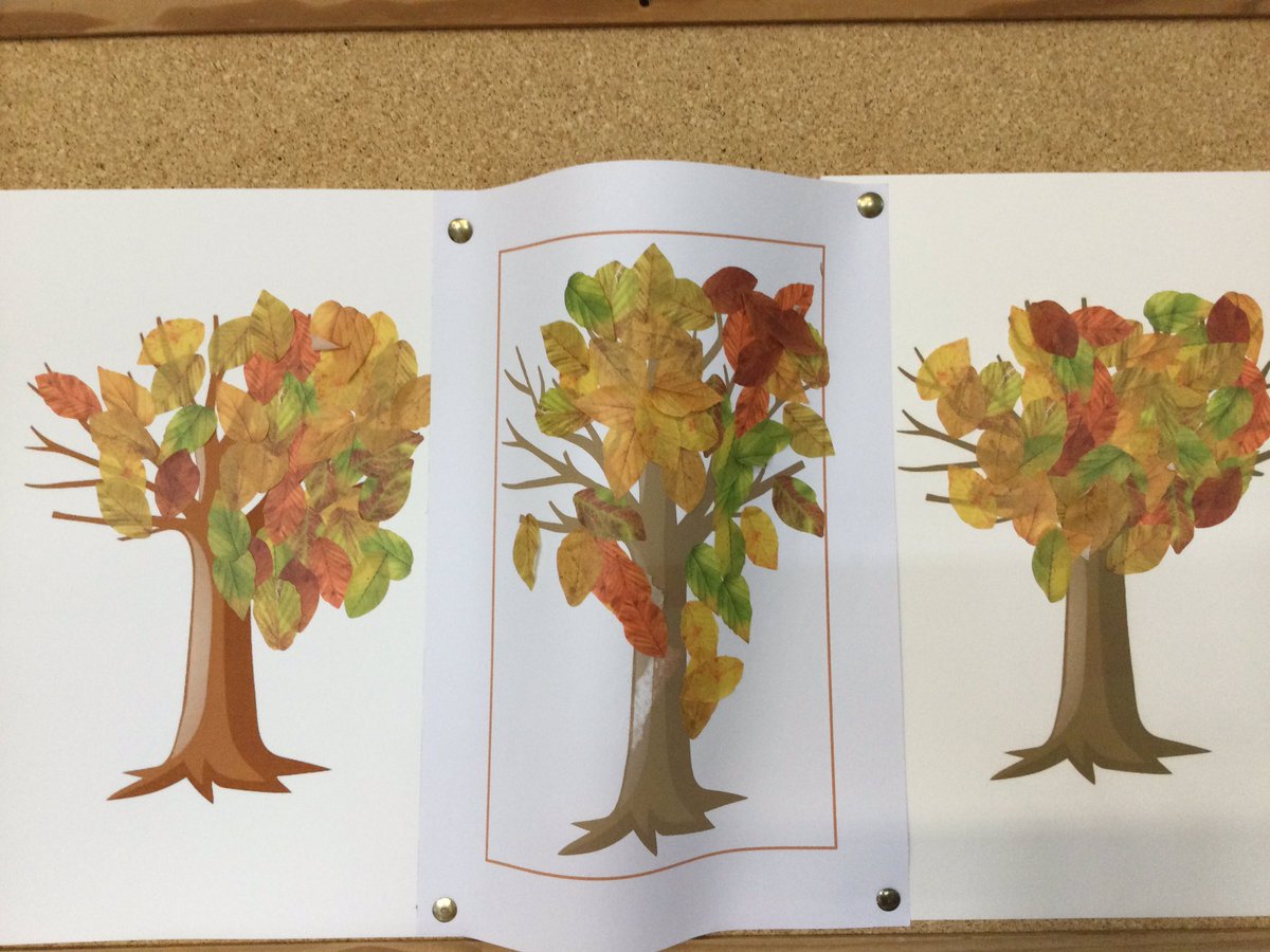 Burnham ward tweet media