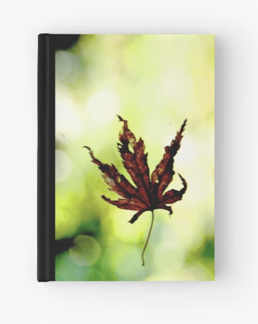 paulaannev's tweet photo. Fall designs on lots of stuff in my #Redbubble shop https://t.co/z1LYcHSV63 and other online stores https://t.co/AdIv9Ff0Ms πππ #Journals #GiftIdeas #FallGifts #AutumnGifts #Stationary #Leaves #Nature #WallArt #Decor #Interiors πππ https://t.co/pGxAklLu82