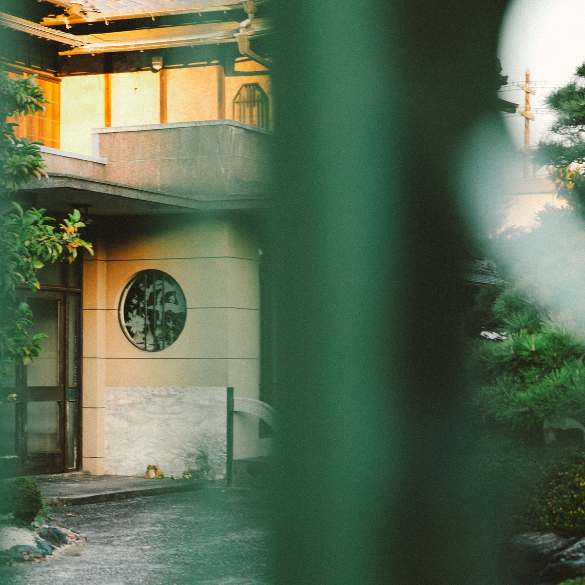 toratabix's tweet photo. 今日のひとり旅は、愛知県、花岡園です。

元遊郭街、現在も風俗街になっております。遊郭街を歩いていると艶っぽい猫と出会う事が多い。

📍Hanaokaen,Aichi prefecture,Japan

🗾Google Map : https://t.co/q1xrIAT32K https://t.co/aU7rWhTR4T