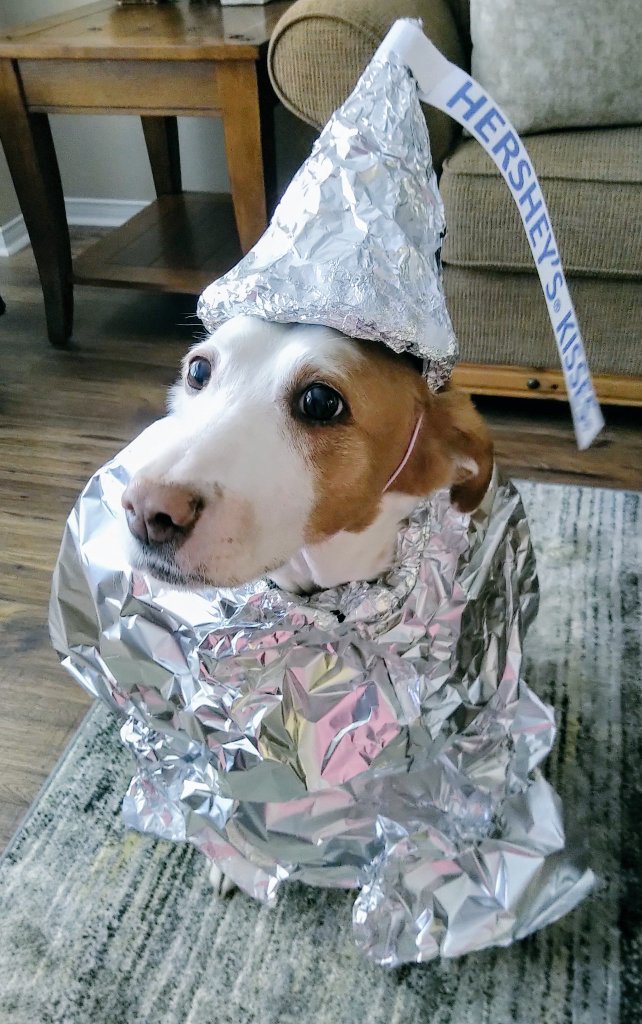 Pals! <a href="/LittleBearconvo/">Little Bear</a> is hosting his #Halloween costume contest again this year to help our fren <a href="/JaspaTheMaltzu/">🇦🇺🐾🐶 LCDR JASPA #ZSHQ 🐶🐾🇦🇺</a>! Rules are below ⬇️ 🎃

Maybe you'll dress up as a 🐿 or a Hershey 💋! Let's all enter!