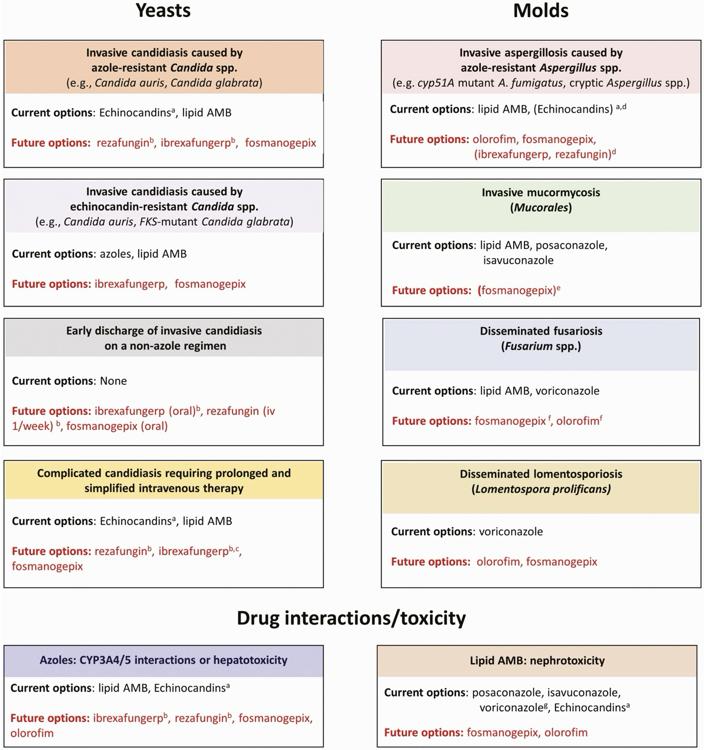 GrupoAFinf_SEFH tweet media