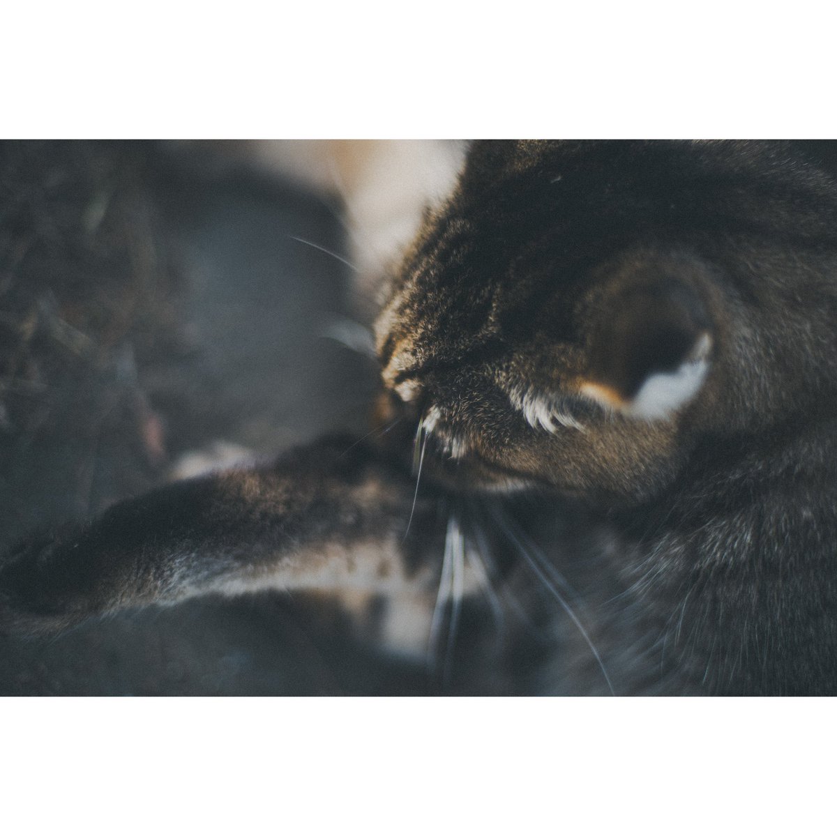 Mori (@cooom_1525) on Twitter photo 