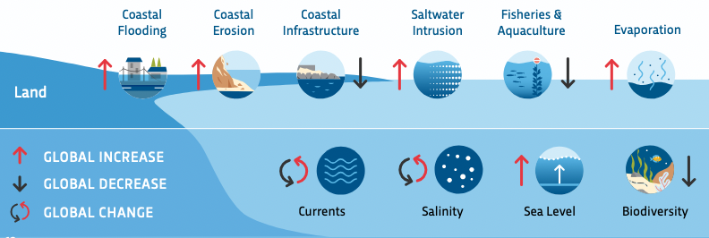 Freya Muir (@fme_muir) on Twitter photo As an avid <a href="/CMEMS_EU/">Copernicus Marine</a> #CopernicusMarine wave data user, it's great to see research outputs from this valuable service! Browse the 8th #OceanStateReport for some beautiful yet sobering infographics: coastal #flooding, #erosion, #sealevel and #saltwaterintrusion all on the rise 📈 As an avid <a href="/CMEMS_EU/">Copernicus Marine</a> #CopernicusMarine wave data user, it's great to see research outputs from this valuable service! Browse the 8th #OceanStateReport for some beautiful yet sobering infographics: coastal #flooding, #erosion, #sealevel and #saltwaterintrusion all on the rise 📈