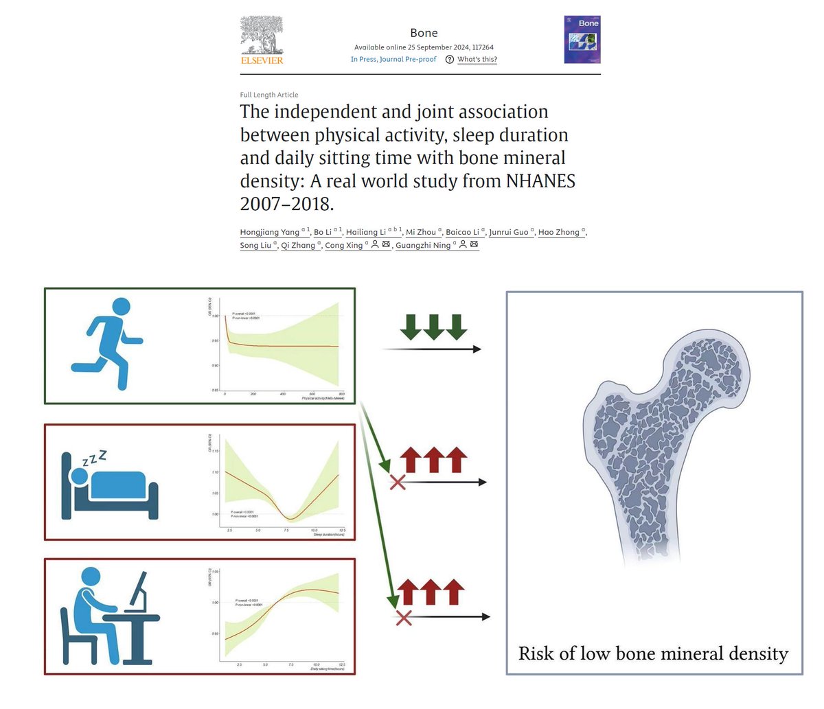 The findings of this one suggest that irregular sleep and prolonged daily sitting may contribute to the risk of low bone mineral density, but physical activity may potentially serve as a mitigating factor.