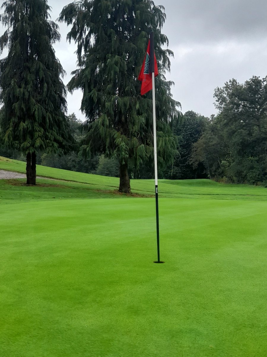 Holding up despite the weather