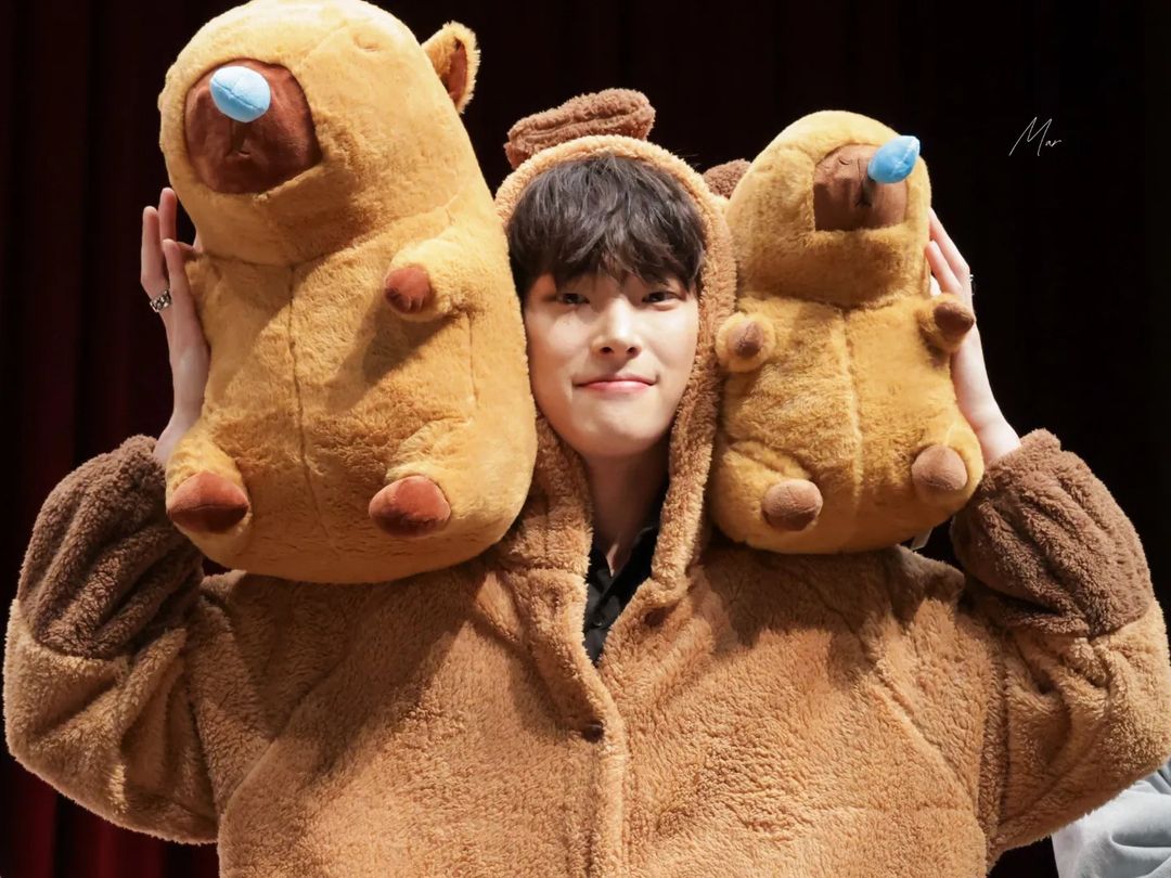 wonkihhh's tweet image. i&apos;m collecting these like my life depends on it