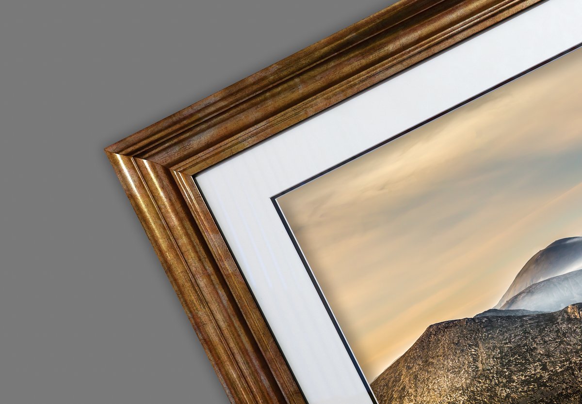 Tony Dalton Photography tweet media