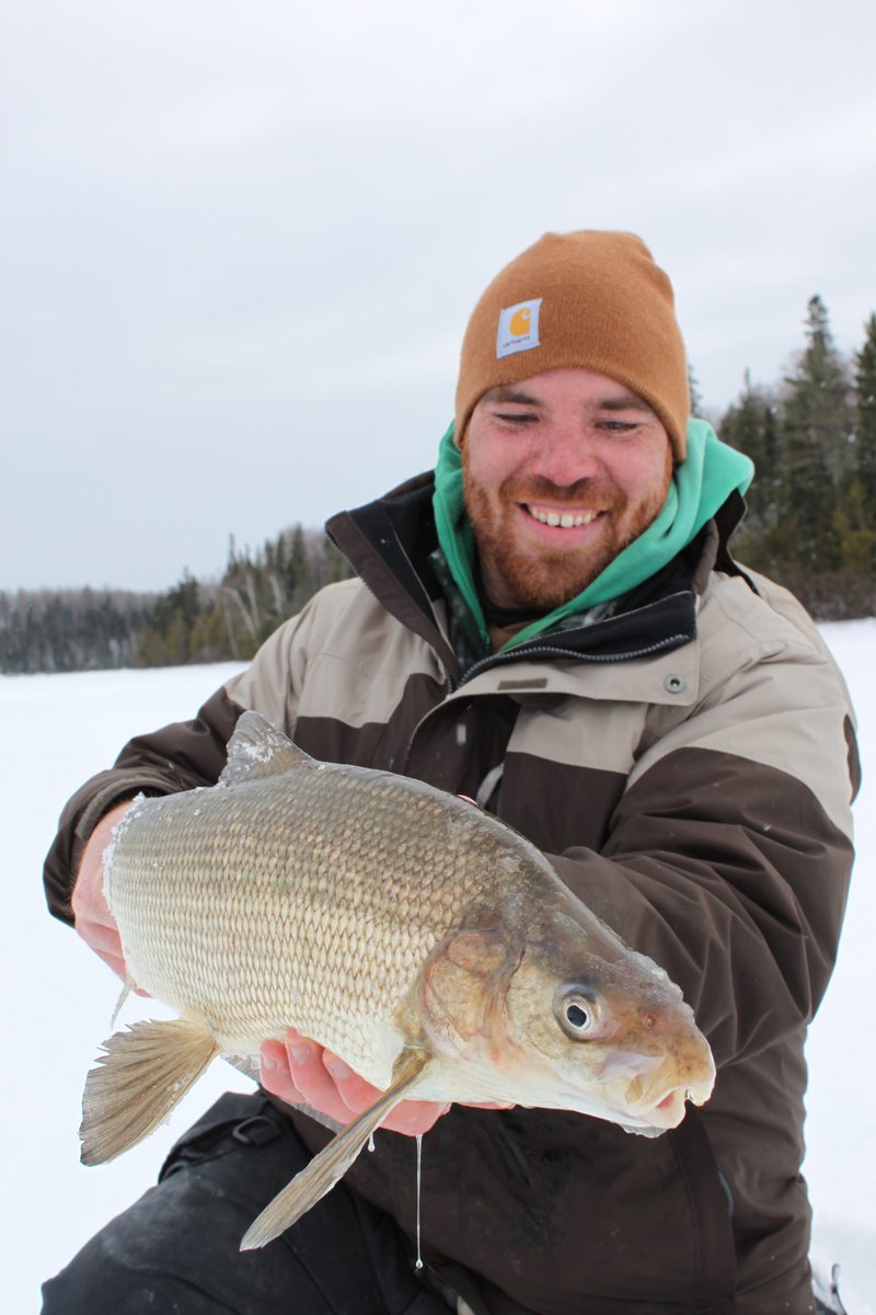 OODMag's tweet photo. Zebra and quagga mussels blamed for declining whitefish populations.
https://t.co/7538A3pzbd
#Hunting #Fishing #Outdoors #WhiteFish #GreatLakes #FishPopulations #QuaggaMussels #ZebraMussels https://t.co/dQcMHp9lnZ