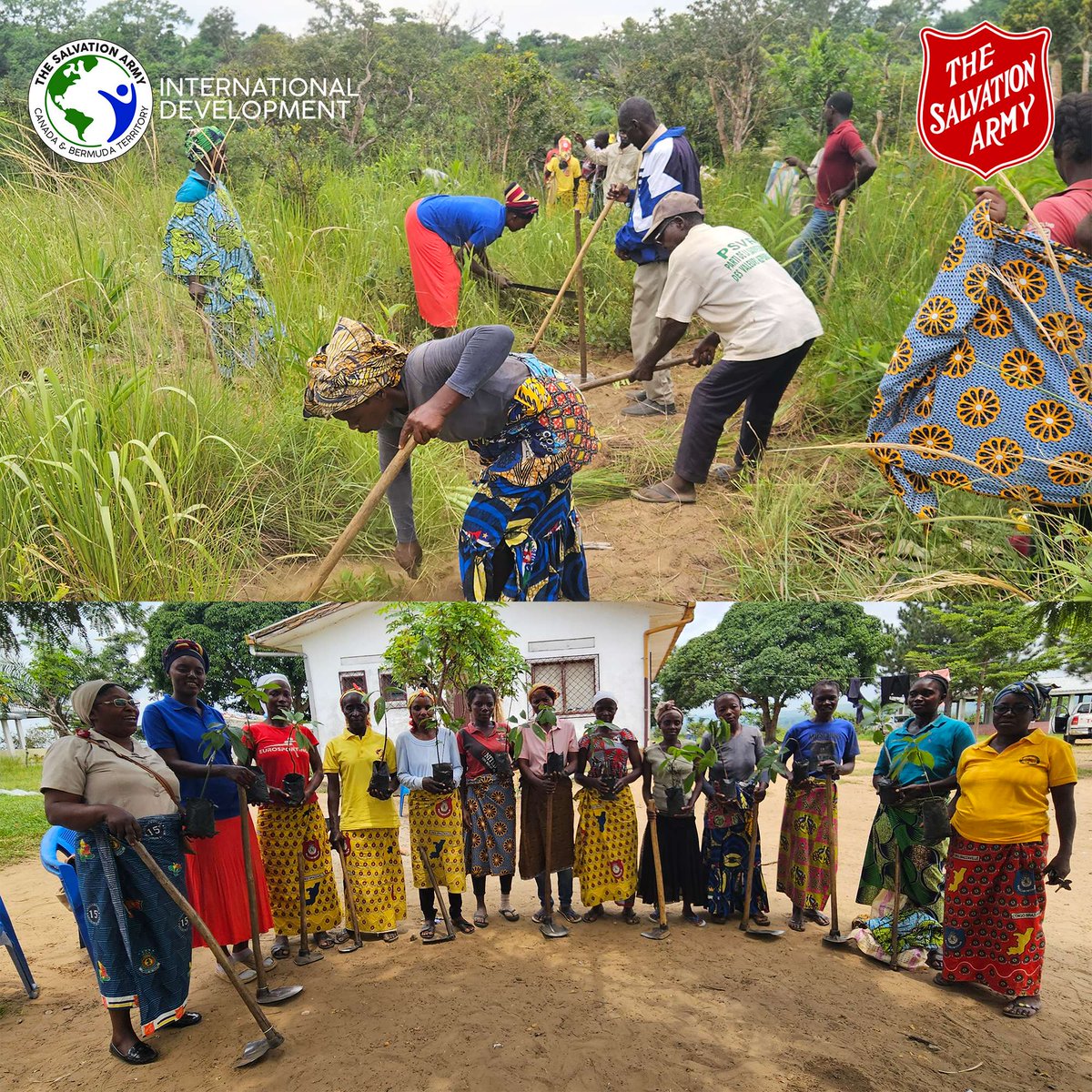 salvationarmy's tweet photo. Thanks to the Gifts of Hope, 1,000 fruit trees were planted at Mouleke Camp in Congo-Brazzaville! This project, led by the local womenβs ministries, will help combat malnutrition by providing vital nutrition for local communities. #GiftsofHope https://t.co/eiltLCQkKa https://t.co/I3XQvngOSr