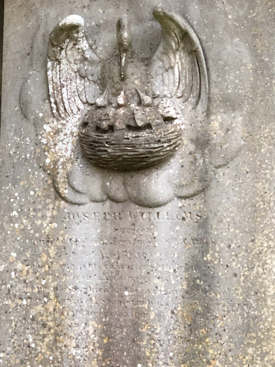 We are taking part in #31DaysofGraves by <a href="/annaandthedead/">Anna Fairley Nielsson</a>.
Day 1: Today's theme is Birds. You can often hear birds singing in burial grounds even when you can't see them. They get carved in stone too like this pelican on the grave of Joseph Williams- a mythical symbol of sacrifice