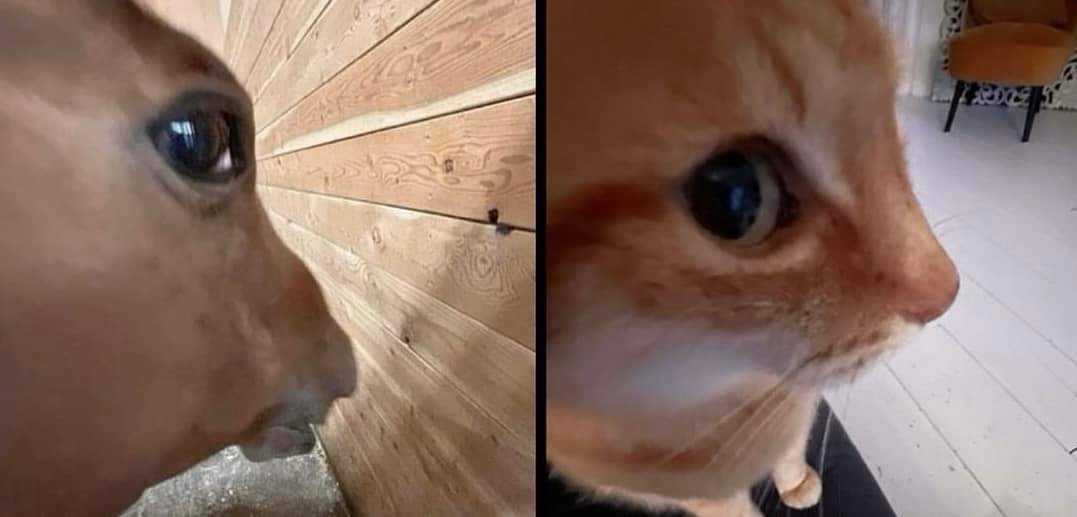 Tag your bro who you look at like this when it's time to play Valorant