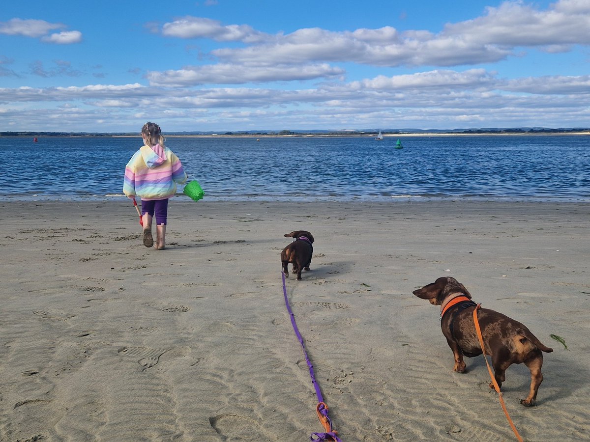Following our tiny human to dig sand! 💛💜🧡