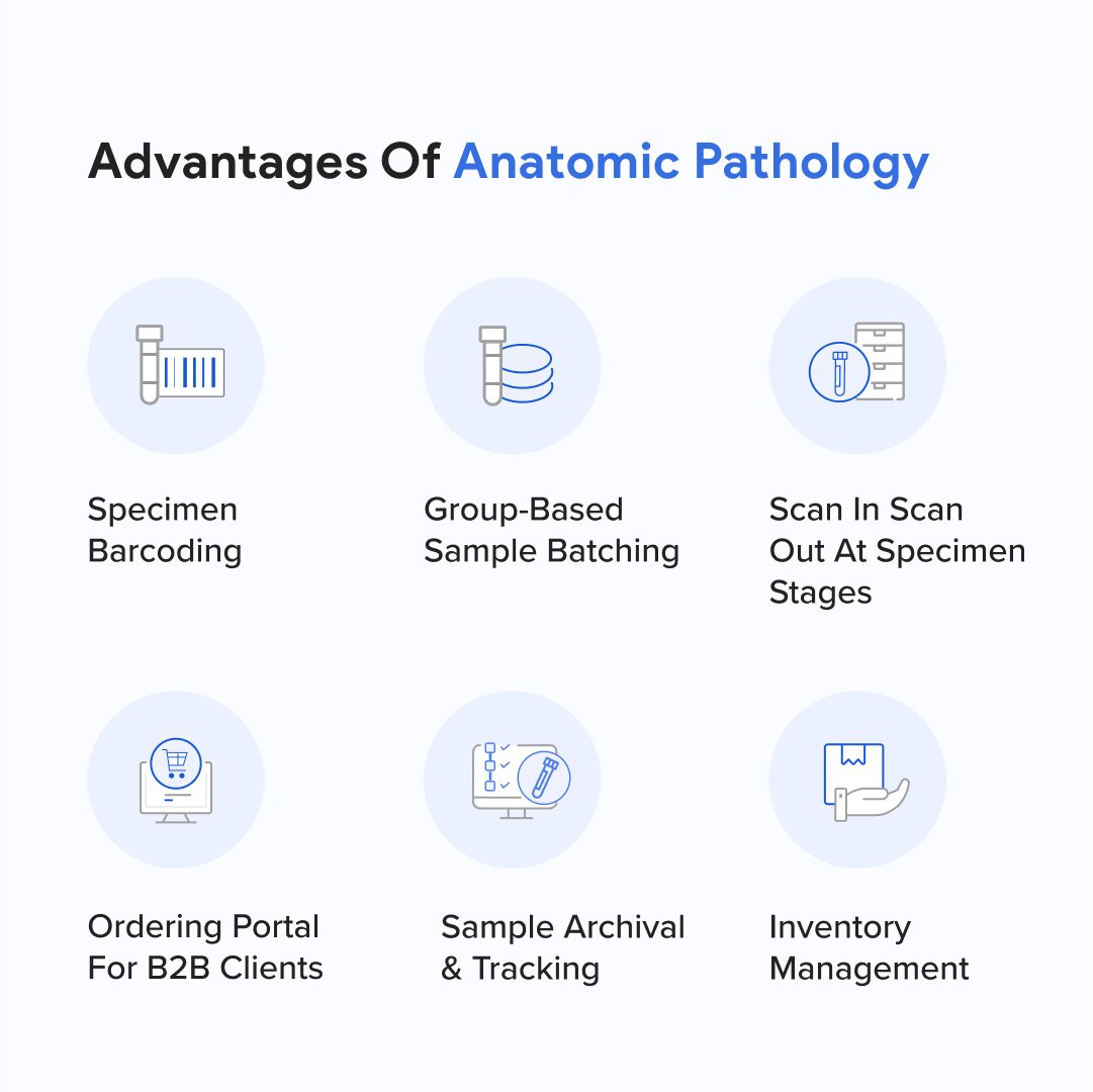 creliohealth's tweet image. Explore dedicated lab software solutions for anatomical testing in laboratory medicine that offer unparalleled features to improve lab efficiency and performance.

#anatomy  #anatomic #pathology