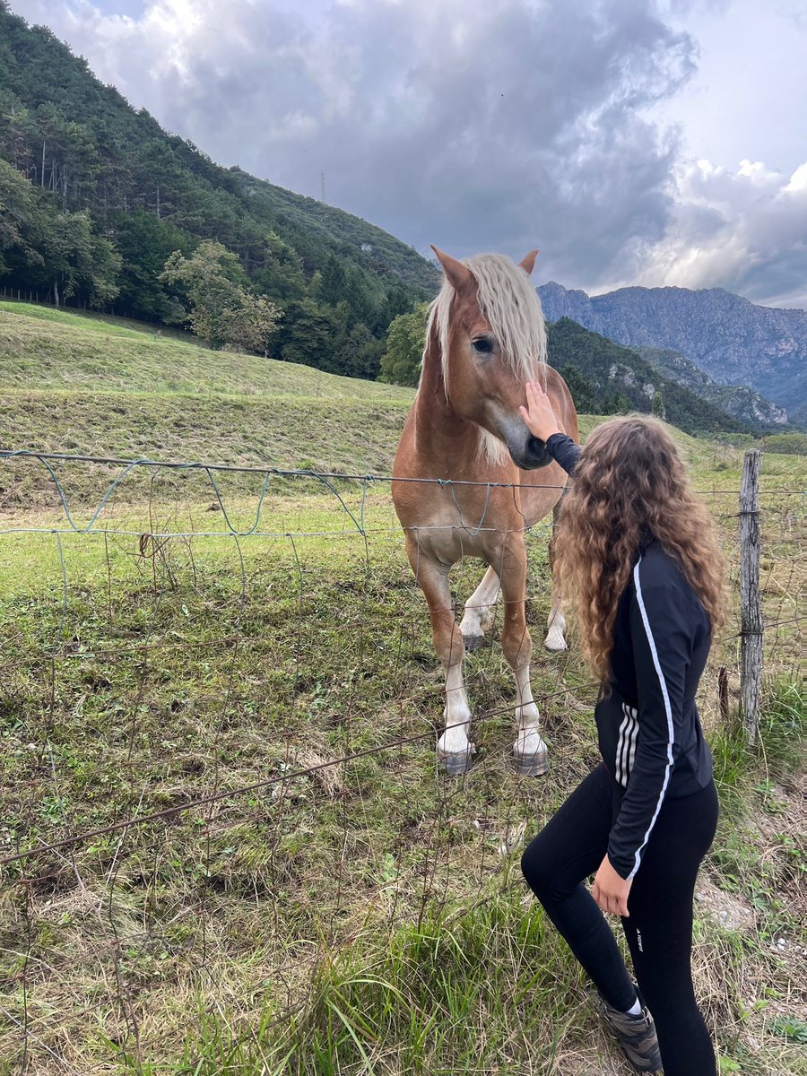 frasersart's tweet photo. Back in my second home :) ✨ Italia 🍋💫 Limone https://t.co/Hwax01nzwj