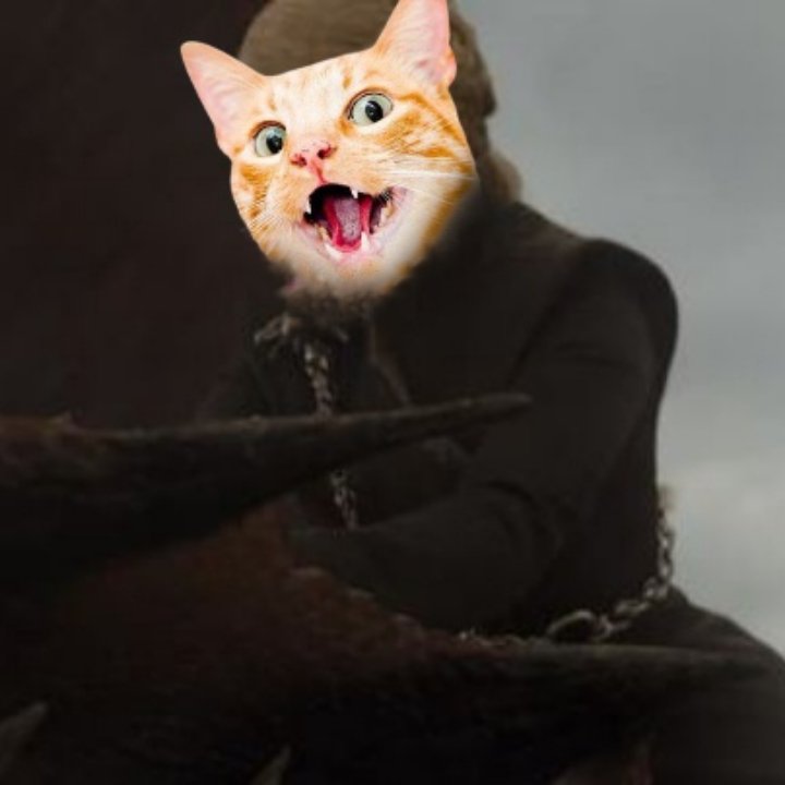 CatleesiMoC's tweet photo. @bitcoinnews Catleesi' s dragons are flying them away. https://t.co/N4n9KyVCYF