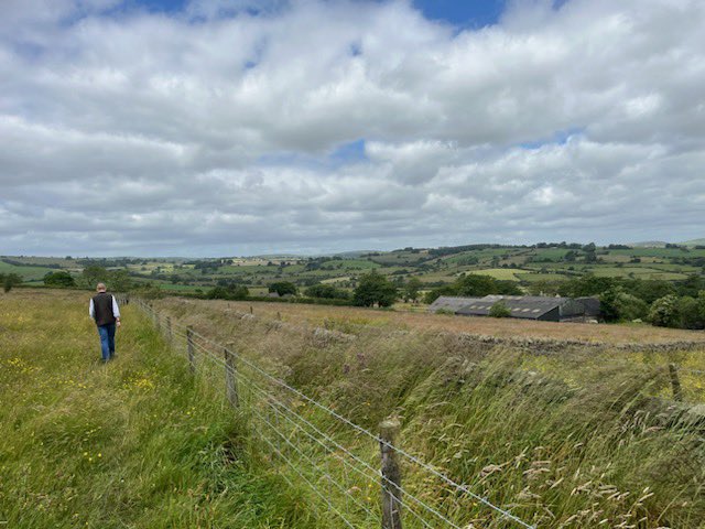 Bernard’s Farm tweet media