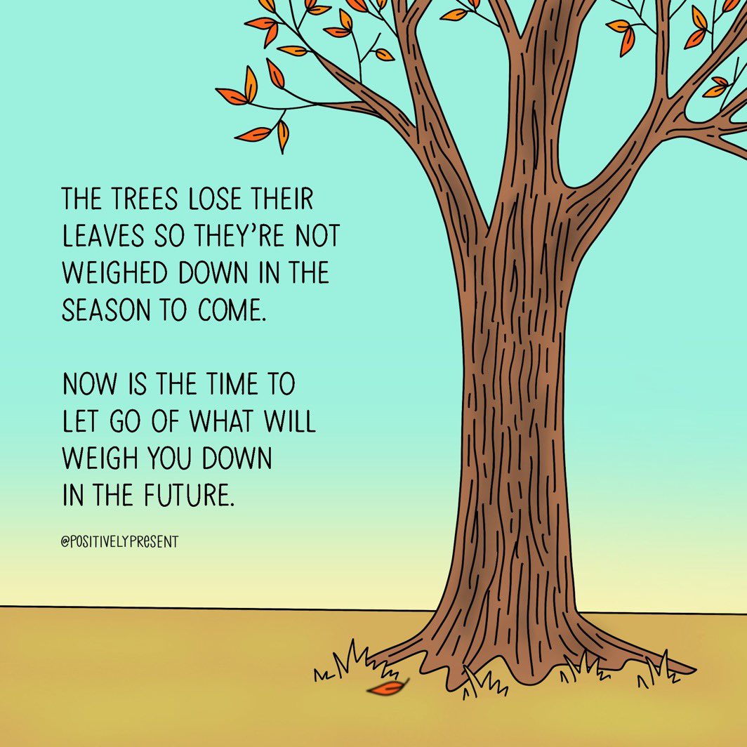 selmahsmith's tweet photo. Welcome Autumn 🍁
A new month, a fresh start 💫
Nature’s teachings 🍃🍂
@K12StaffWB @bcscmhcoalition
#WellbeingMatters #LearningWell #LeadingWell #LivingWell https://t.co/G14Nqo1DzV