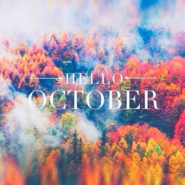 J21Coaching's tweet photo. Here’s to a #successful new month.
A new season..
The last quarter of the year. Are you on track?
https://t.co/WVJk3EMI6A
#PersonalDevelopment #SmallBiz #coaching #mentoring #topresults
#SuccessMindset 🍁🍄🍃🍂 https://t.co/dVxaRx2a2j