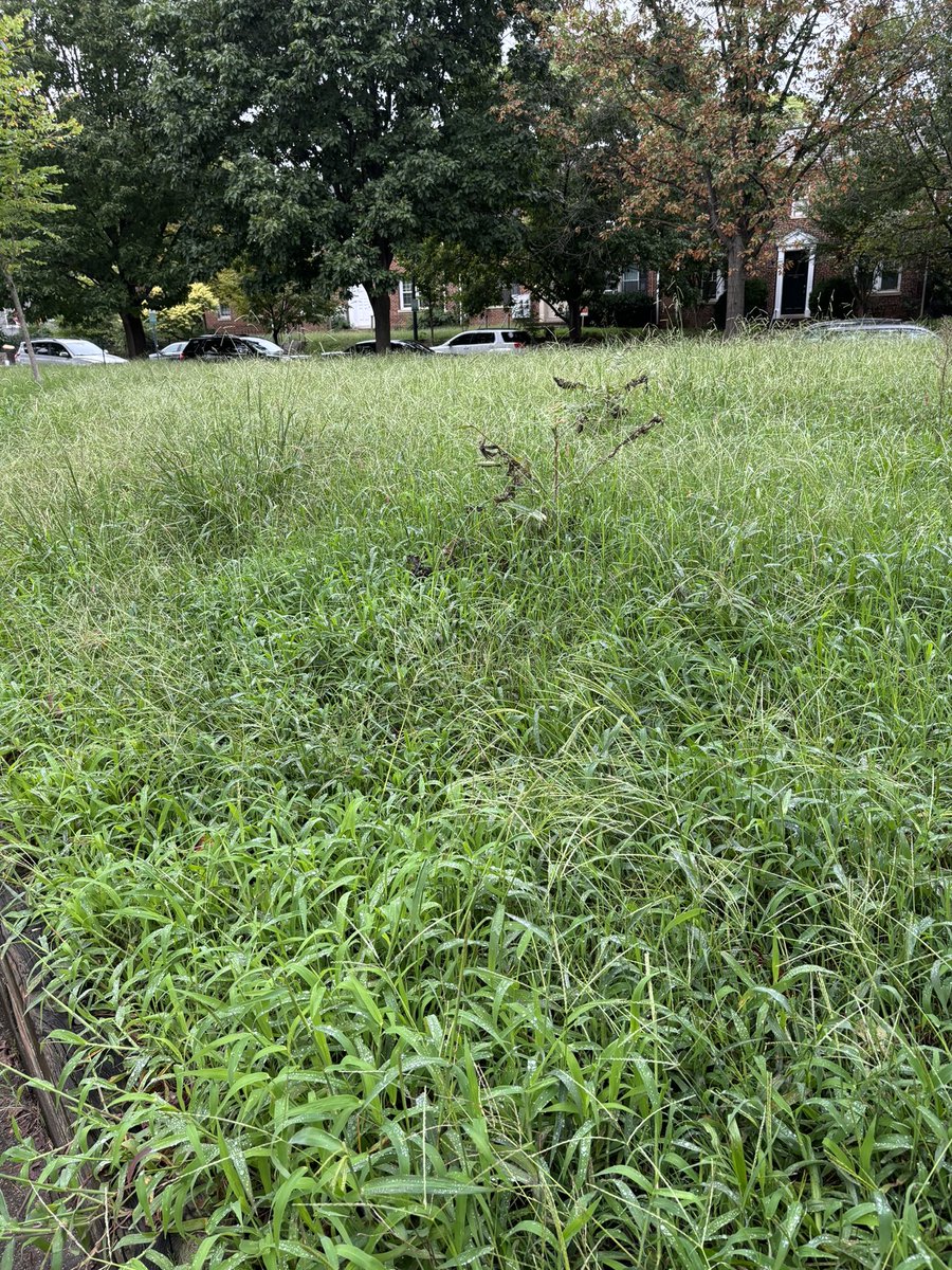 Ashley Schapitl tweet media