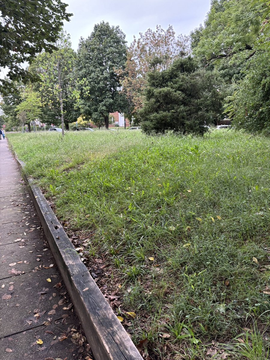 Ashley Schapitl tweet media