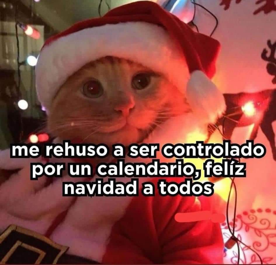 nacional_memes's tweet photo. Feli navidad https://t.co/gMFBRYLGou