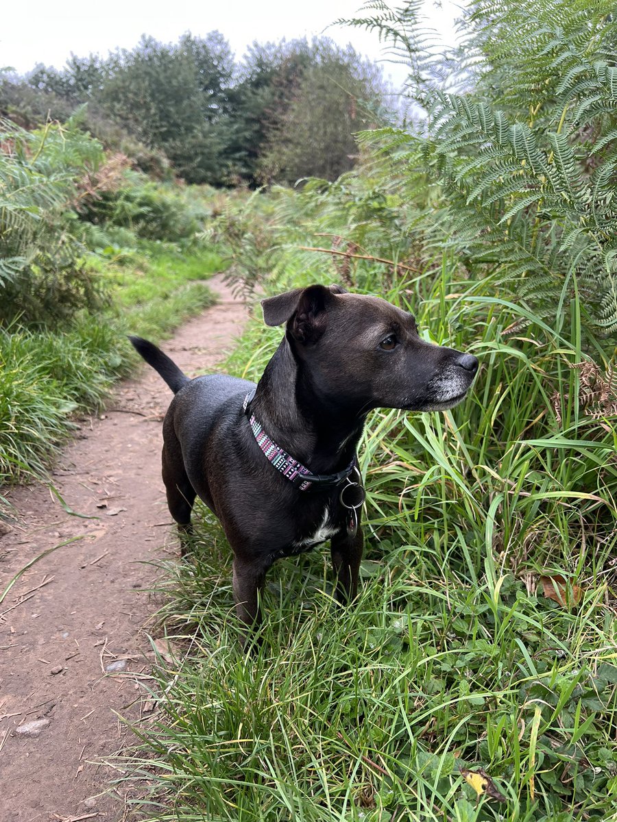 Greg Moss tweet media