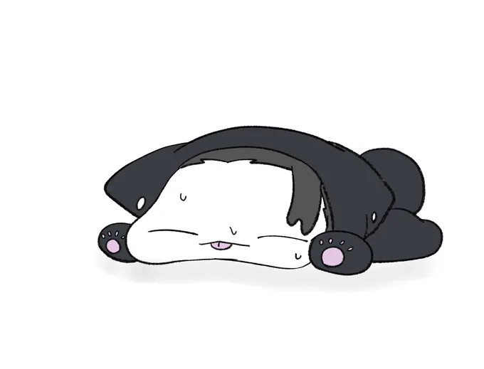 今日も暑いね。

衣替えしたいね(❓) 