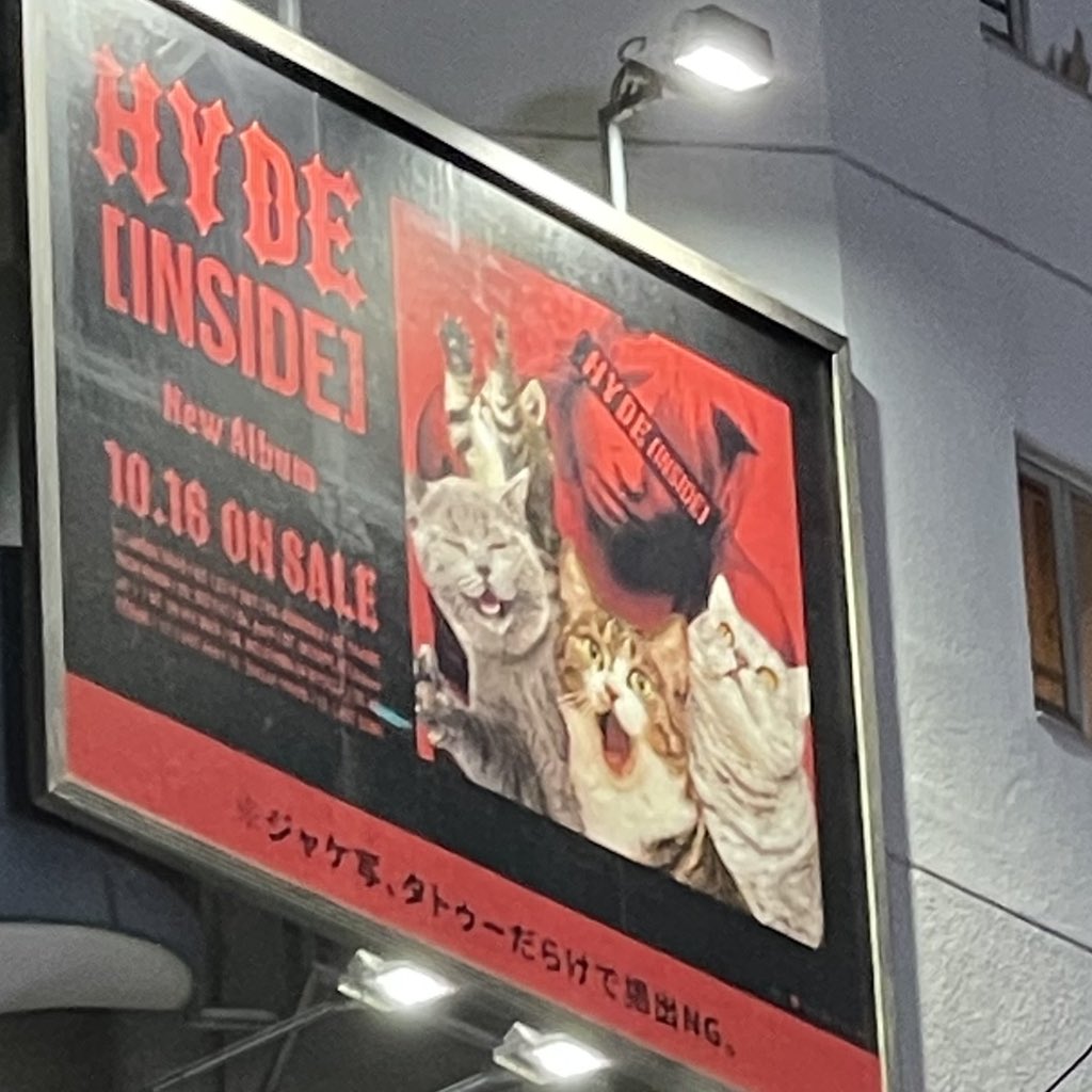 mnrxa's tweet photo. ねこちゃんだねえ https://t.co/Zay8iucTUe