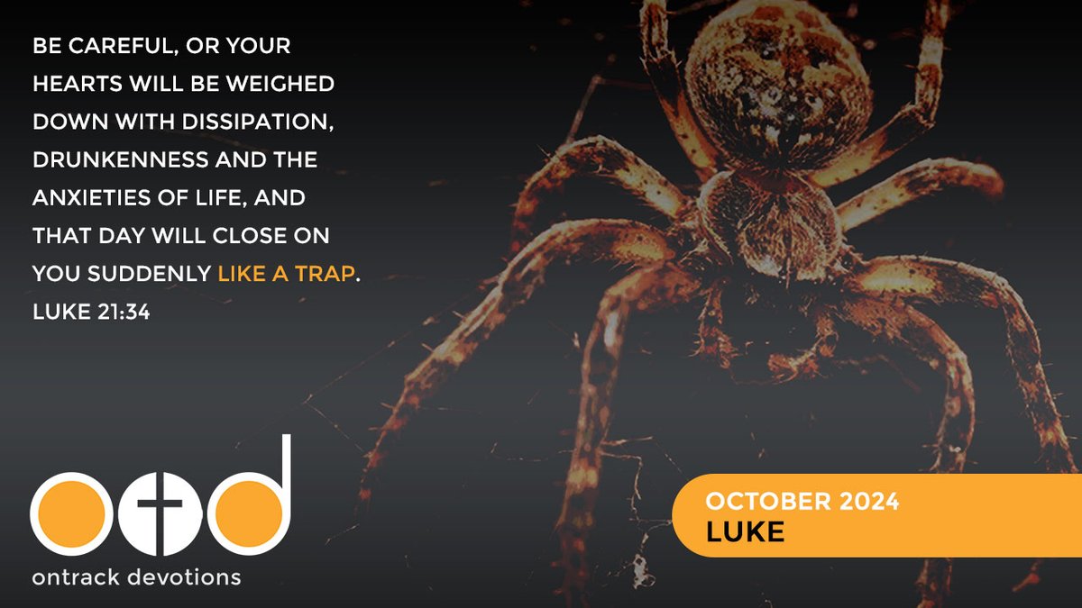 ontrackdevos's tweet image. The book of #Luke brings us a chronological rendering of #Jesus&apos; life and #ministry.  It focuses on the facts and is the first of two sequential books addressed to Theophilus. #Acts is the second book... as a foundation for understanding the early #church and its origins.