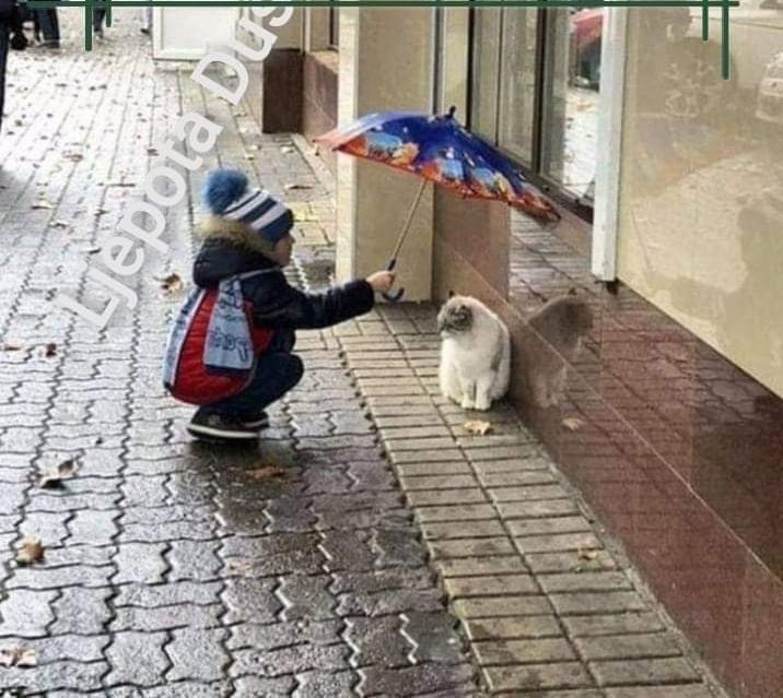 Rađaš se  plemenit, zlo se uči.