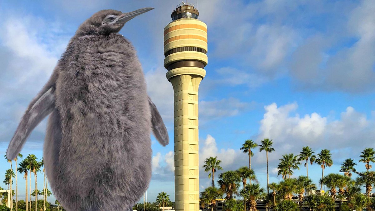 MCO tweet picture