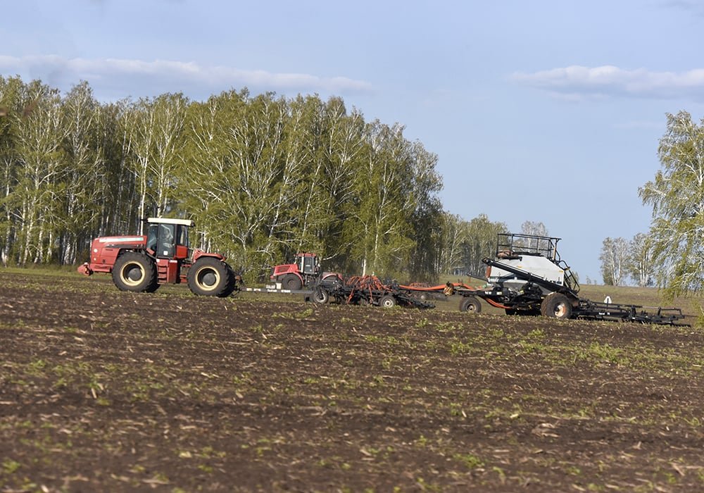 Andrey Sizov (@sizov_andre) on Twitter photo Black Sea winter #wheat planting delays are concerning, and October weather could make things worse—or not. 🌾
<a href="/sean_pratt/">Sean Pratt</a> / <a href="/westernproducer/">The Western Producer</a> covers the impact: Sizov believes current weather issues are mostly priced in, but warns that without meaningful rain in October, the Black Sea winter #wheat planting delays are concerning, and October weather could make things worse—or not. 🌾
<a href="/sean_pratt/">Sean Pratt</a> / <a href="/westernproducer/">The Western Producer</a> covers the impact: Sizov believes current weather issues are mostly priced in, but warns that without meaningful rain in October, the