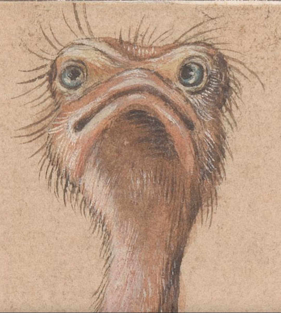 The Pulter Project tweet media