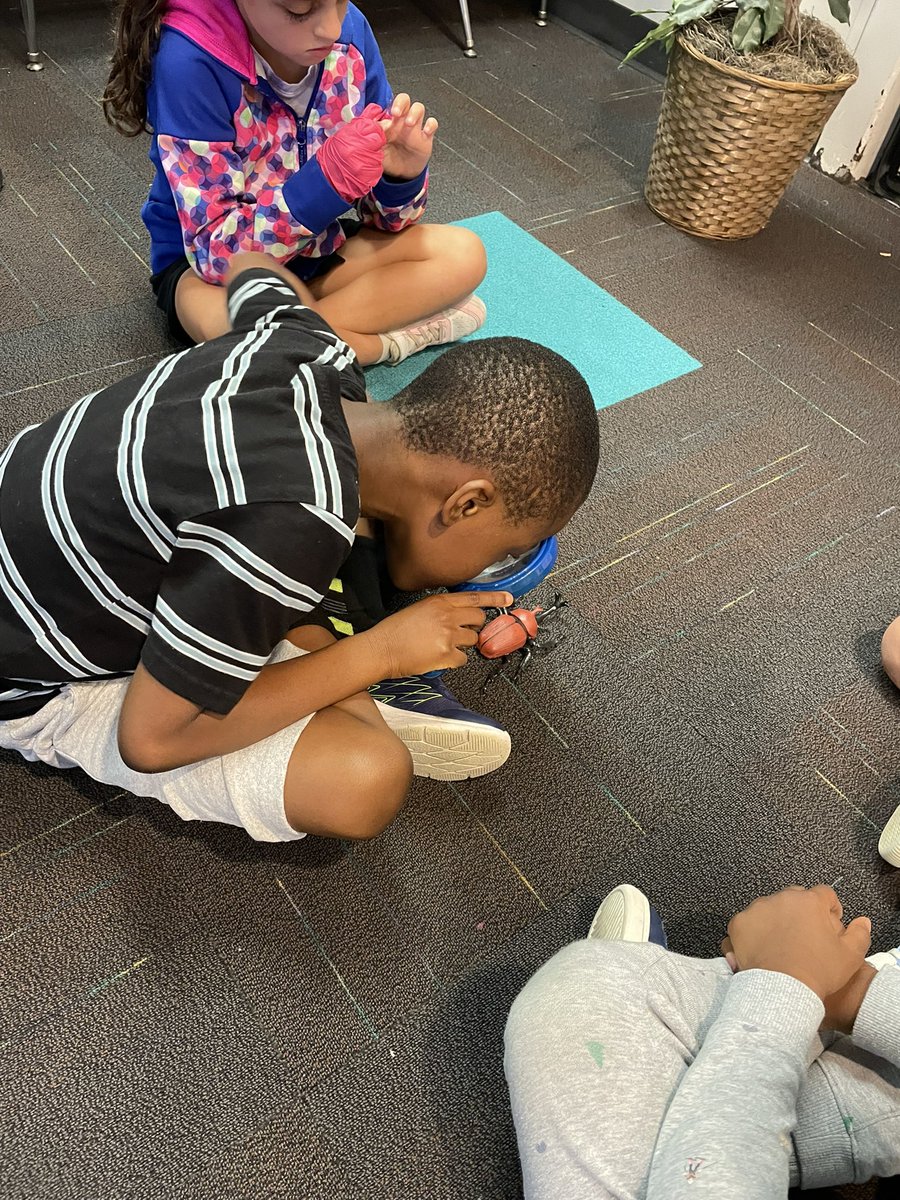 Erin Torrie tweet media