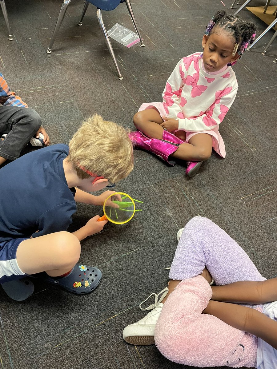 Erin Torrie tweet media