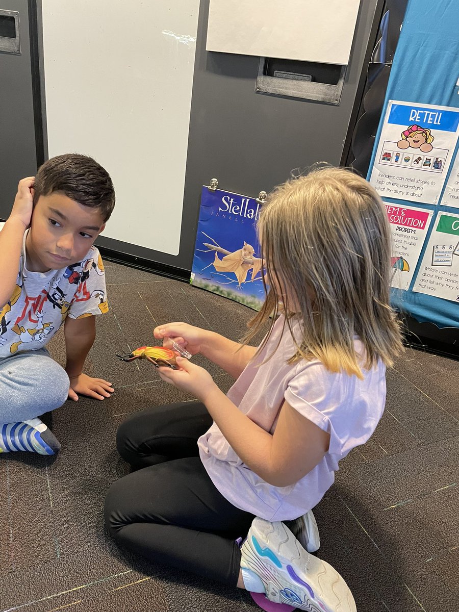 Erin Torrie tweet media