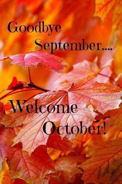 Fremont County Emergency Management tweet media