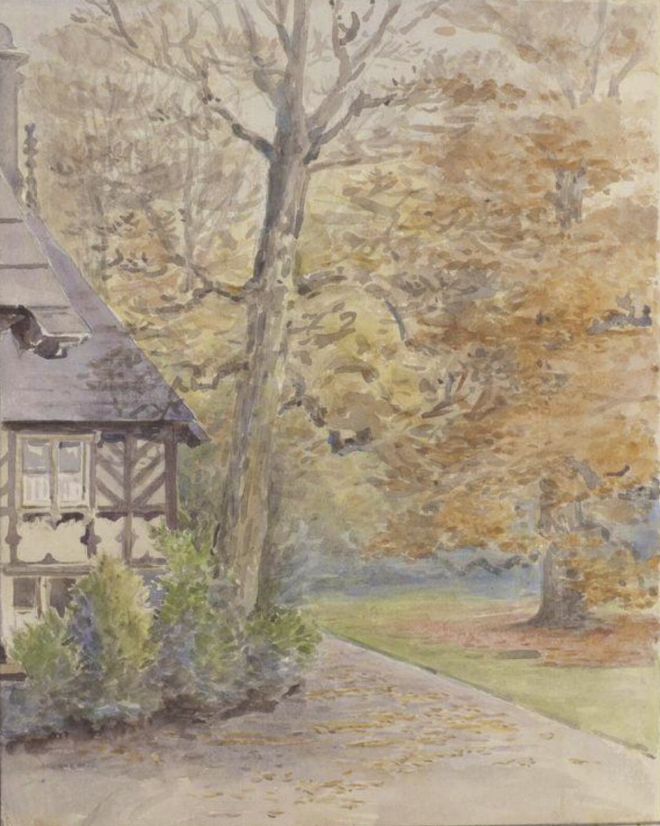 V_and_A's tweet photo. Autumn through the eyes of Beatrix Potter🍂

🍃Falling Leaves, Gwaynynog, Denbighshire, ca.1908-09
🍁The road to Esthwaite Water from Sawrey village, November 1909
🌱View along a path through a forest, September 1894
🍂A path through a woodland in autumn, ca. 900-1913 https://t.co/N0gValqZET