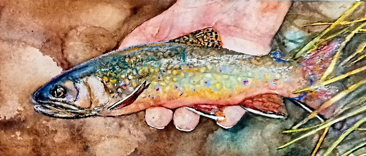 MidCurrent's tweet photo. Small Creek Brookie is an exquisite watercolor piece by artist Keith McGuire, capturing the ethereal beauty of nature. Painted on Arches 140# cold-pressed paper, this artwork highlights the delicate textures and nuanced tones that bring the scene to life. #midcurrentmedia https://t.co/XGtMnRy8jI