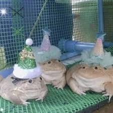 Join the party? 

At Pump.fun

#Launch #GEM