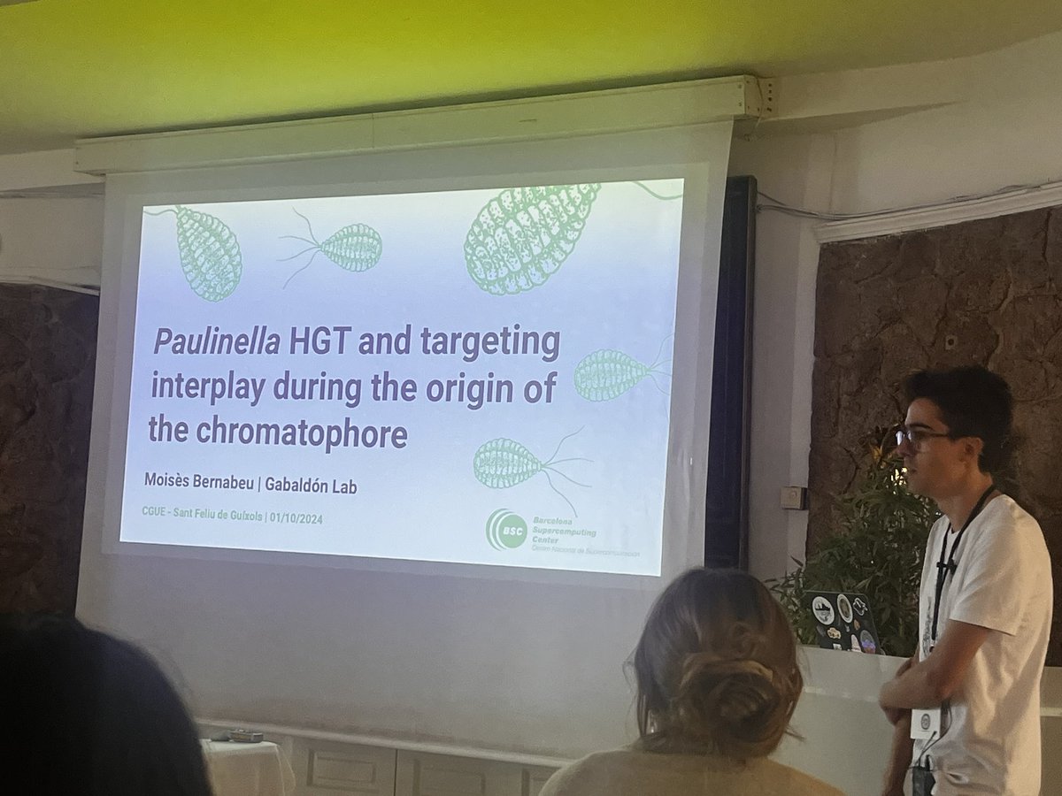 gabaldonlab's tweet image. Moisès (@moigilbernabeu ) from @gabaldonlab gave a talk at #CGUE2024 on our research about identifying and dating ancestral HGT in Paulinella, much more (and more ancient) than Cyanobacteria!