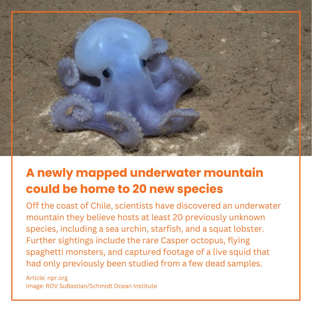 OSC_Blogger's tweet photo. Here are some of the news articles that caught our eyes across the last month. 

What other news did you see? Let us know! https://t.co/NV6RMV3new