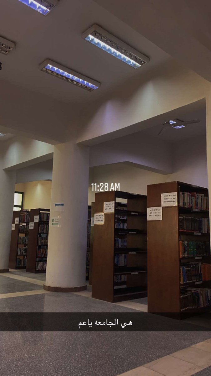 yassin_gouda's tweet photo. libraries are my safe spaces https://t.co/FN6DpQGGCr