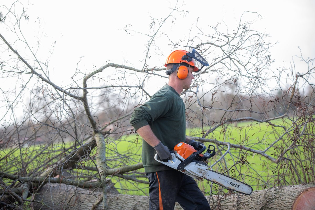 Vanaf 1 oktober wordt er weer onderhoud uitgevoerd in houtwallen en bosjes bij onze deelnemers. Hierdoor blijven ze aantrekkelijk voor vogels, kleine zoogdieren en insecten. Vanaf 1 oktober weer onderhoud in houtwallen en bosjes - ELAN Zuidoost Friesland (elan-zofriesland.nl)