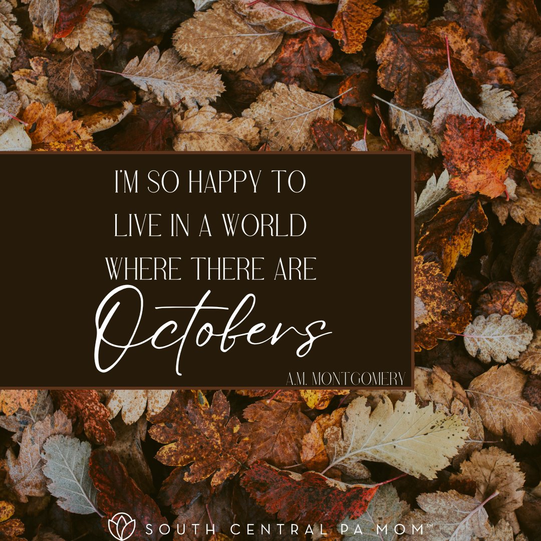 South Central PA Mom tweet media